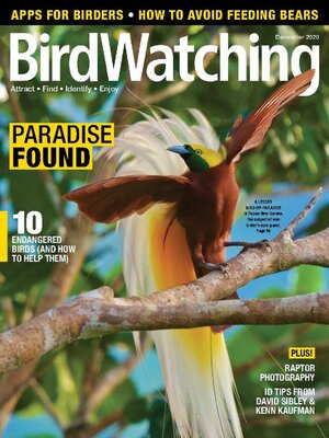 cover image of BirdWatching